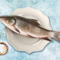 Rohu Freshwater (Live)